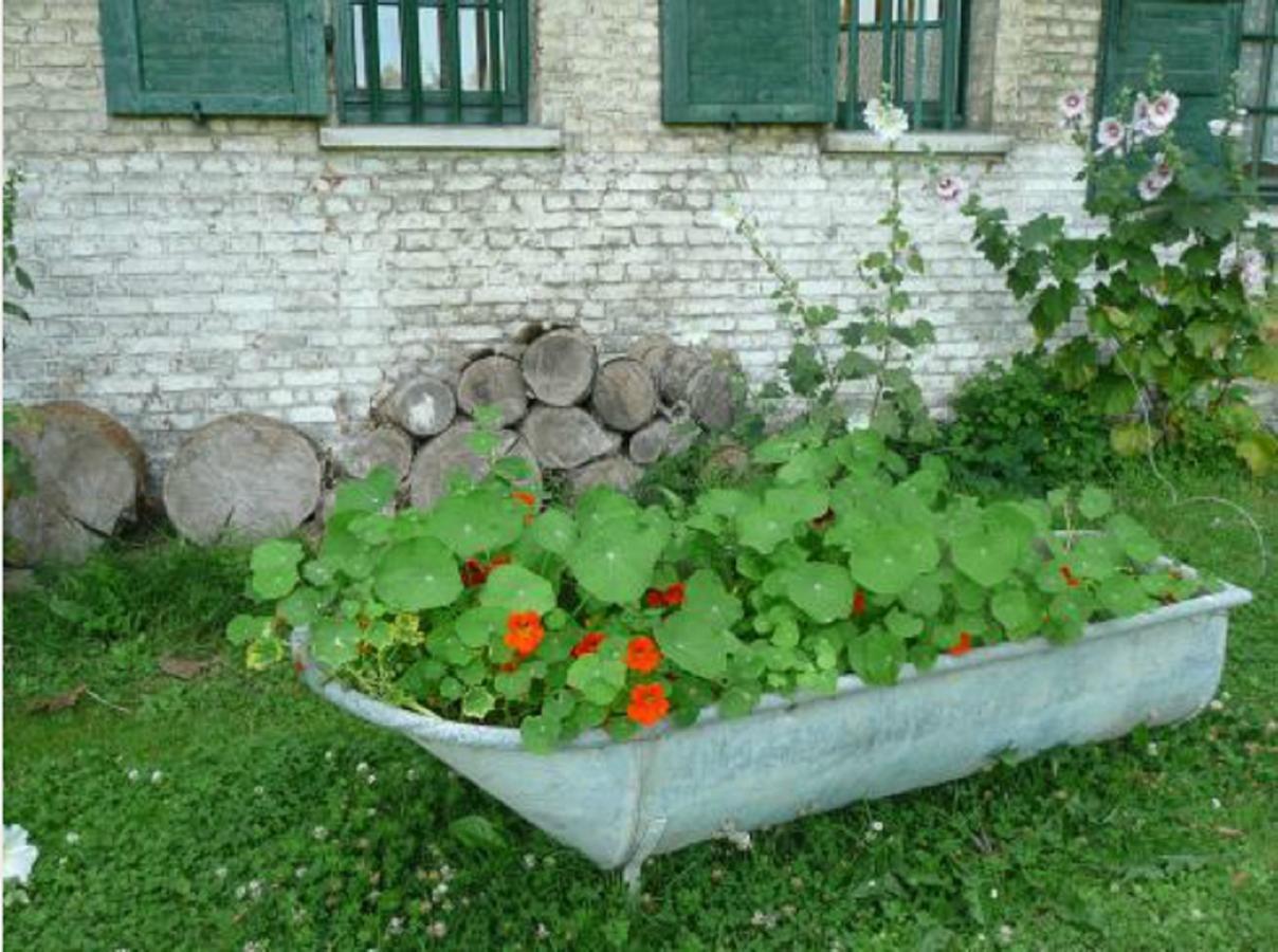 Manoir De Bois En Ardres Bed & Breakfast Dış mekan fotoğraf