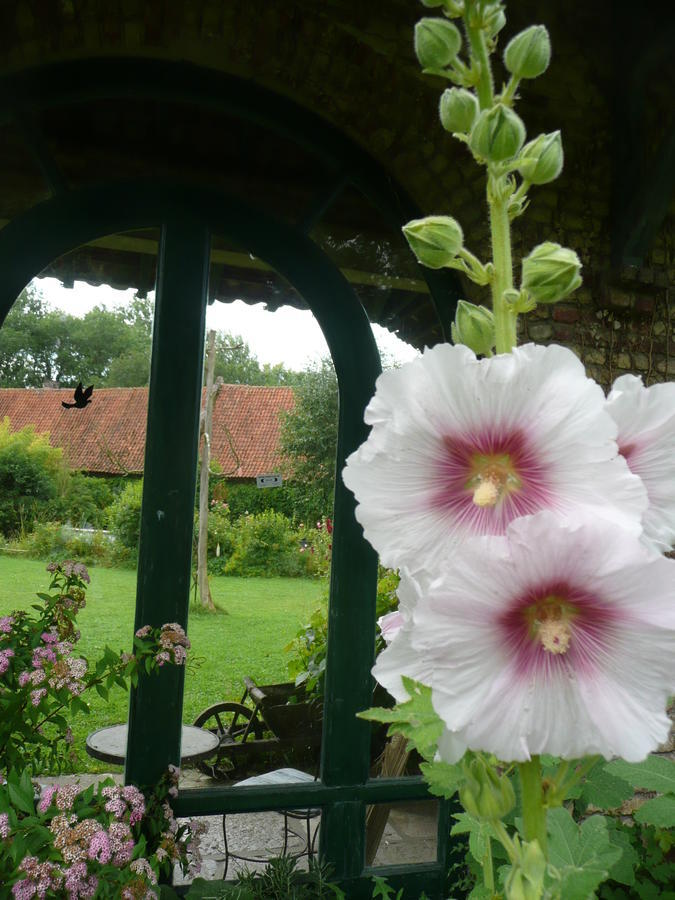 Manoir De Bois En Ardres Bed & Breakfast Dış mekan fotoğraf