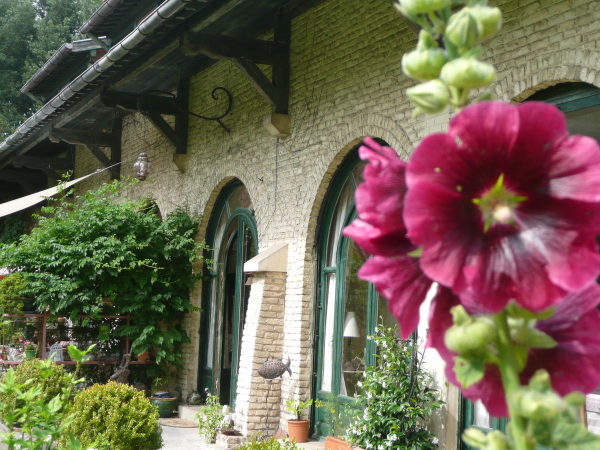 Manoir De Bois En Ardres Bed & Breakfast Dış mekan fotoğraf
